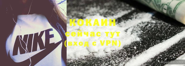 дурь Лагань
